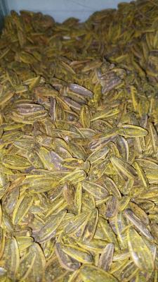 تخمه کانادایی لیمویی فله